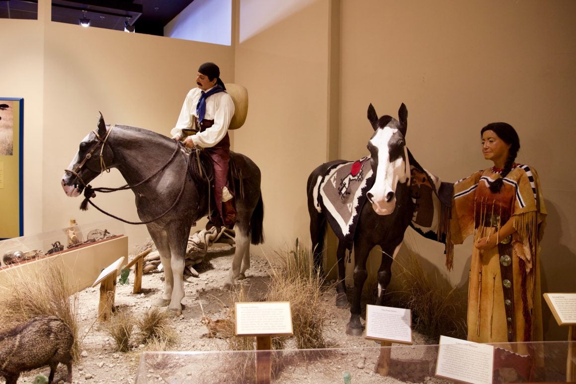 About the Museum Corpus Christi Museum of Science and History