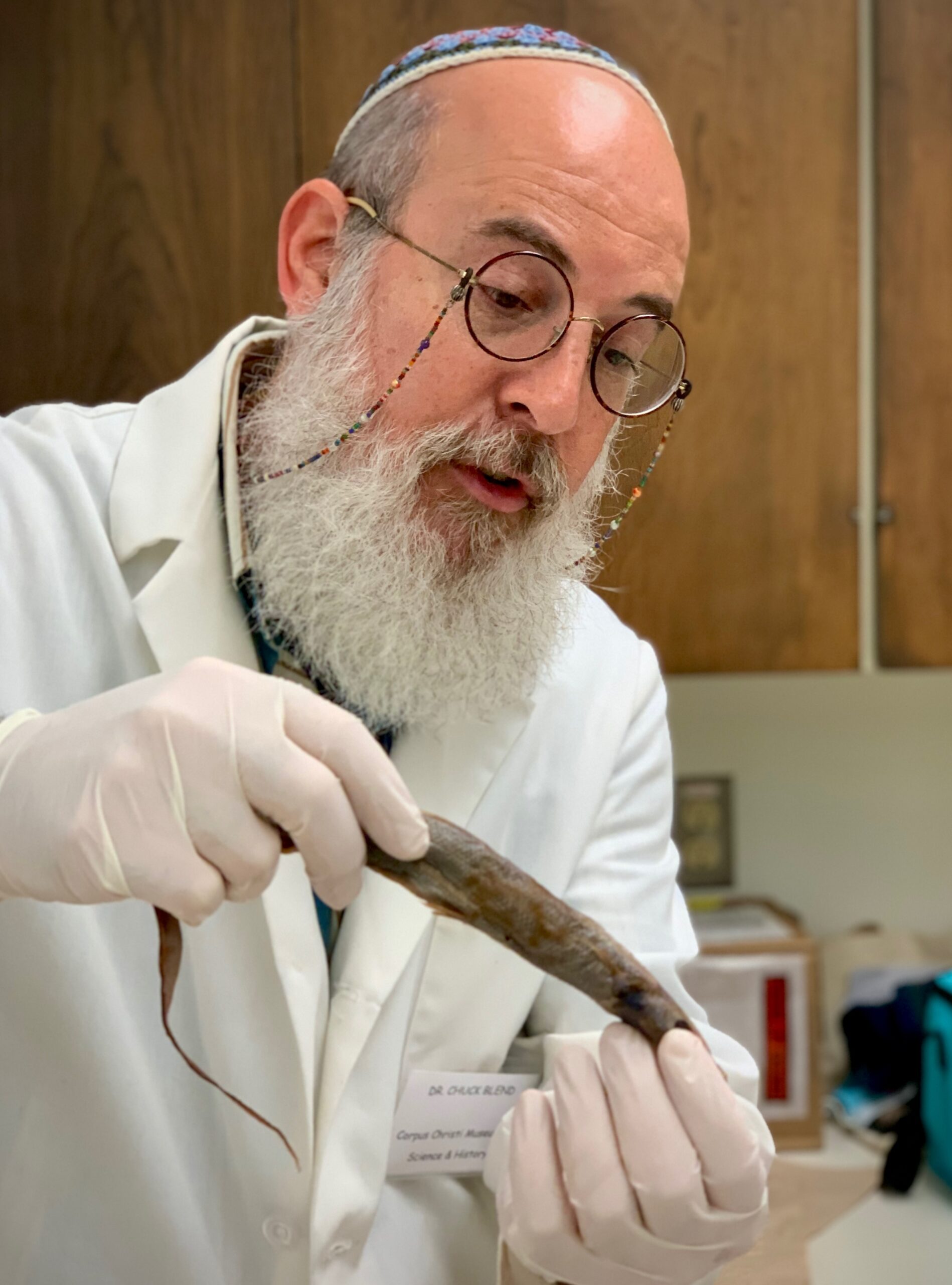 Corpus Christi Museum of Science and History Corpus Christi, TX